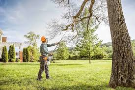 Tree and Shrub Care in Holiday City South, NJ